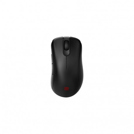 ZOWIE EC2-DW mouse Gaming Right-hand USB Type-A Optical 3200 DPI