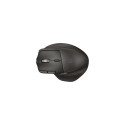 HP B8YX3AA#ABB mouse Home Right-hand Bluetooth + USB Type-C 6000 DPI