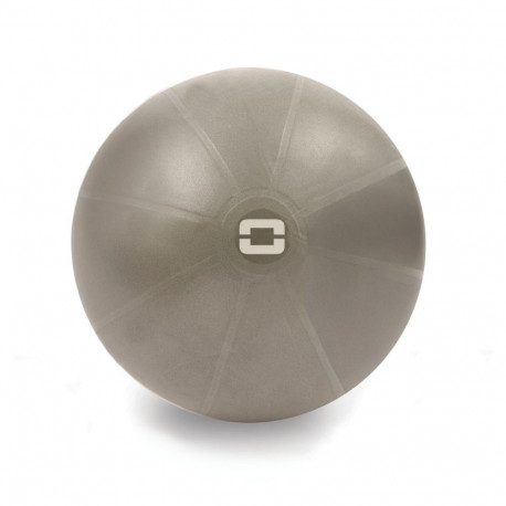 Toorx Liveness Gym ball AYP-002 D65cm with pump sand