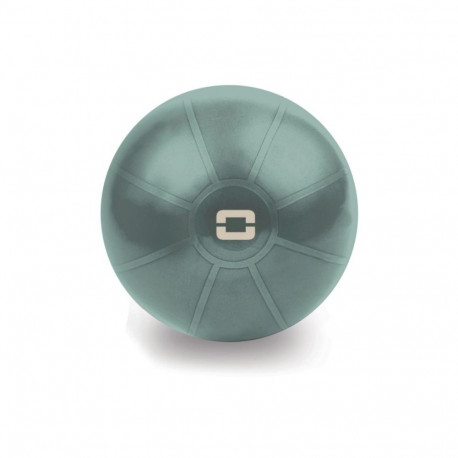 Toorx Liveness Gym ball AYP-001 D55cm with pump green tea