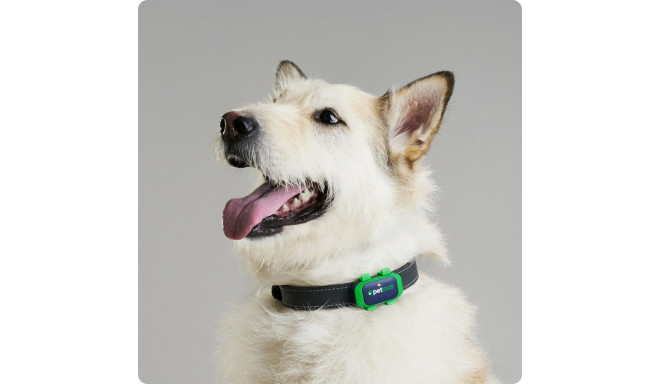 PetLoc8 GPS tracking device