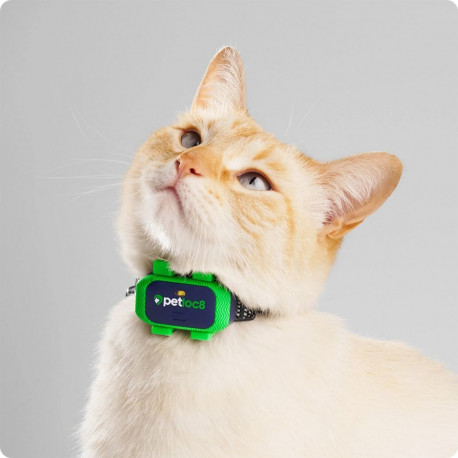PetLoc8 Mini GPS tracking device