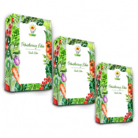 TORAF seemnekomplekt 3X3 2024 24X1PCS