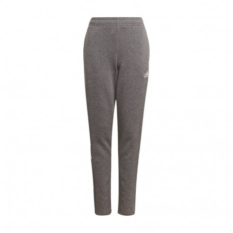 adidas laste dressipüksid Tiro 21 Sweat GP8809 152cm, hallides