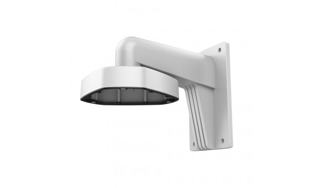 Hikvision DS-1273ZJ-DM25 security camera accessory Mount
