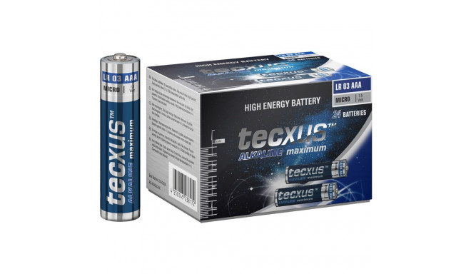Tecxus patareid LR03/AAA (Micro) 24tk XXL karbis