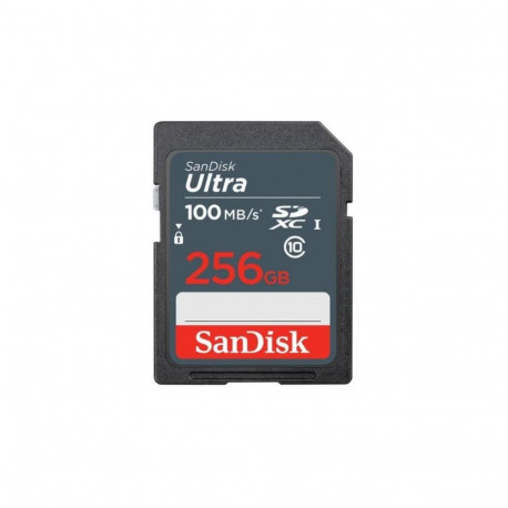 SANDISK BY WESTERN DIGITAL MEMORY SDXC 256GB UHS-I/SDSDUNR-256G-GN3IN SANDISK
