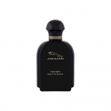 Jaguar for Men EDT 100ml