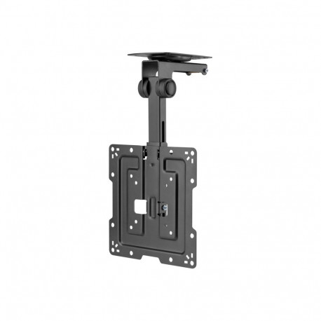 GEMBIRD Full motion TV ceiling mount 19 - 43inch