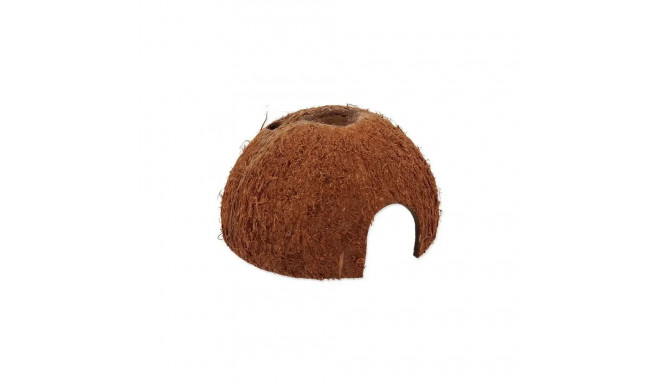 Terrarium decor : Repti Planet Coco Shell M