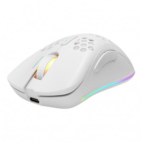 Deltaco Gaming mängurihiir GAM-120-W paremakäeline RF juhtmevaba Bluetooth USB Type-A optiline 4800 