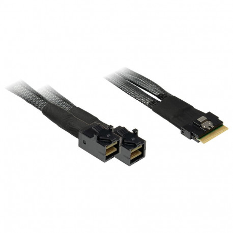 "Inter-Tech SFF-8654 8i > 2x SFF-8643 0,75m Kabel"