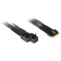 "Inter-Tech SFF-8654 8i > 2x SFF-8643 0,75m Kabel"