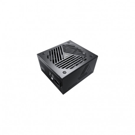 "Titan Gold 1000W - 80 PLUS Cybenetics Gold, modular, PCIe 5.0 - 1000 Watt"