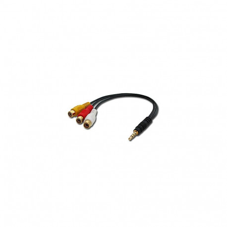 AV Cable - Lindy Camcorder AV Adapter Cable – Stereo Audio & Composite Video