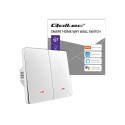 Smart Light switch WiFi 2Gang Timer Tuya