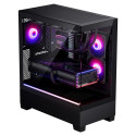 "Phanteks XT View (schwarz, Tempered Glass x 2)"