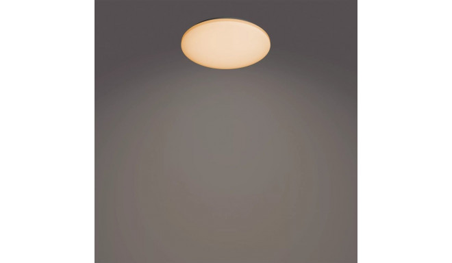 Philips laevalgusti Functional Izso 40W