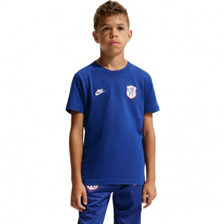 Nike laste jalgpallisärk Chelsea FC Premier IQ5003 495 XS, sinine