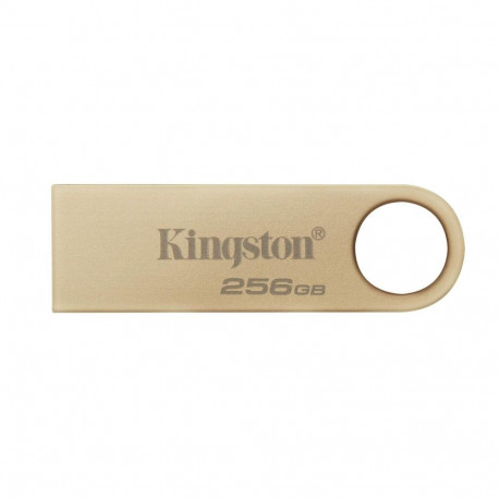 Kingston MEMORY DRIVE FLASH USB3.2/256GB DTSE9G3/256GB