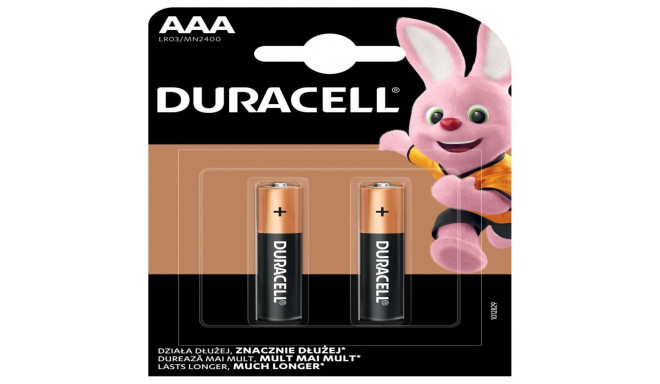 Duracell Basic MN2400 AAA BL2