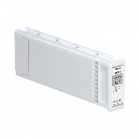 "Epson T8009 Grau 700ml"