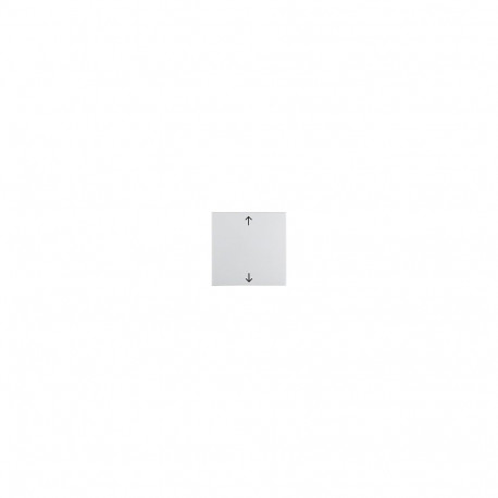 "Berker 16208919 Wippe mit Aufdruck Symbol polarweiss glänzend"