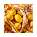 ROMP Lemon Crush