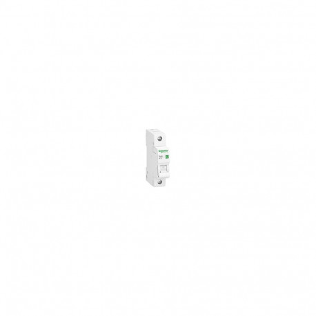 GS Automat automaatkaitse Resi9 R9F23116 B 16A 1-poolne