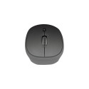 "Mouse, Wireless 2.4G, 3-button, DPI Switch, black"