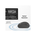 "Mouse, Wireless 2.4G, 3-button, DPI Switch, black"