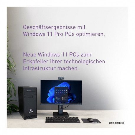 "Wortmann TERRA MOBILE 1552"