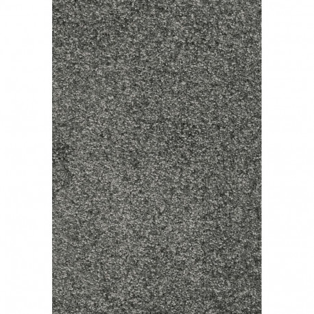 Vaip Indus 98 hõbedane 4m (104)