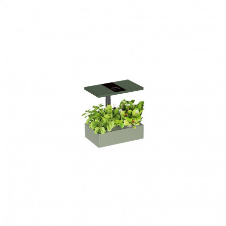 Indoor Gardening System
