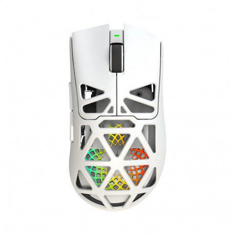 White Shark MORIEN WGM-5025  White