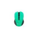 Canyon CNE-CMSW1GR