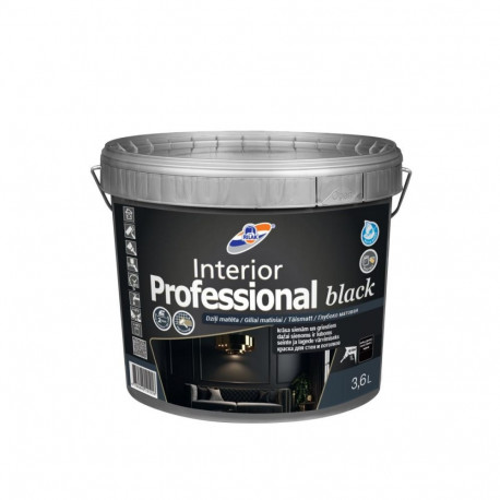 PAINT INTERIOR PROFESSIONAL BLACK 3.6L