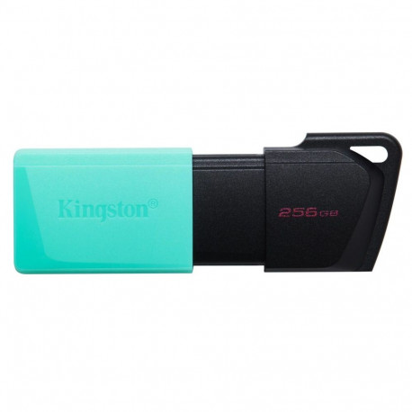 Kingston MEMORY DRIVE FLASH USB3.2/256GB DTXM/256GB