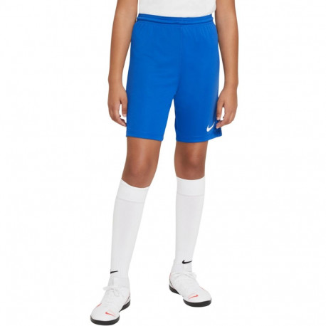 Nike laste lühikesed püksid Dry Park III NB K BV6865 463, sinine