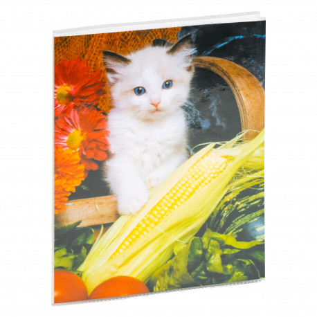 Album P2-6824 15x20/24, assortii