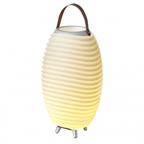 KOODUU Synergy 50 garso kolonėlė, LED šviestuvas, vyno šaldytuvas