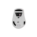OMEGA MOUSE WIRELESS SILENT RECHARGEABLE TYPE C WHITE [46036]