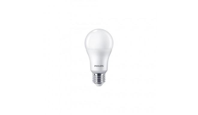 Philips Bulb 100W A60 E27