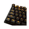 Keyboard Light Mount TKL Silent Linear