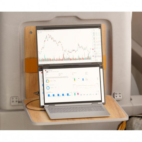 JAPANNEXT JN-DMD-IPS156F computer monitor 39.6 cm (15.6") 1920 x 1080 pixels Full HD LCD Black