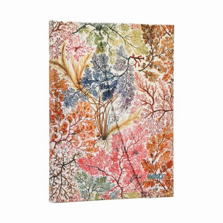 Raamatkalender 2027 Paperblanks Anemone Midi nädal vertikaalne