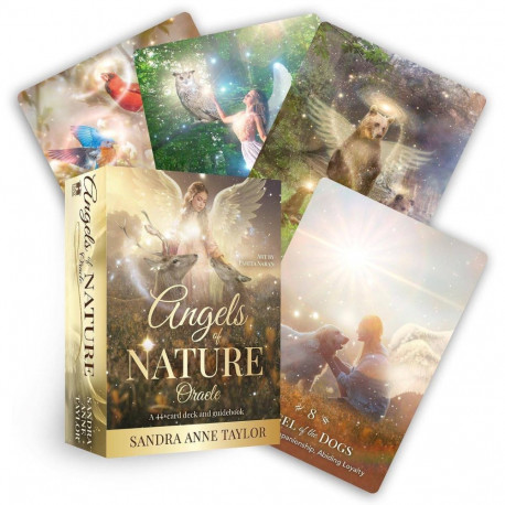 Oracle Card Deck - Hay House Angels Of Nature 44 Cards English Instruction Booklet