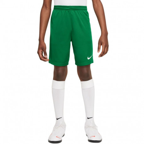 Nike laste lühikesed püksid Dry Park III NB K BV6865 302 XL, roheline