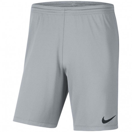 Nike laste lühikesed püksid Dry Park III NB K BV6865 012 L, hallid