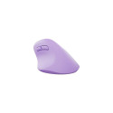 NATEC Crake 2 mouse Universal Right-hand RF Wireless + Bluetooth Optical 2400 DPI